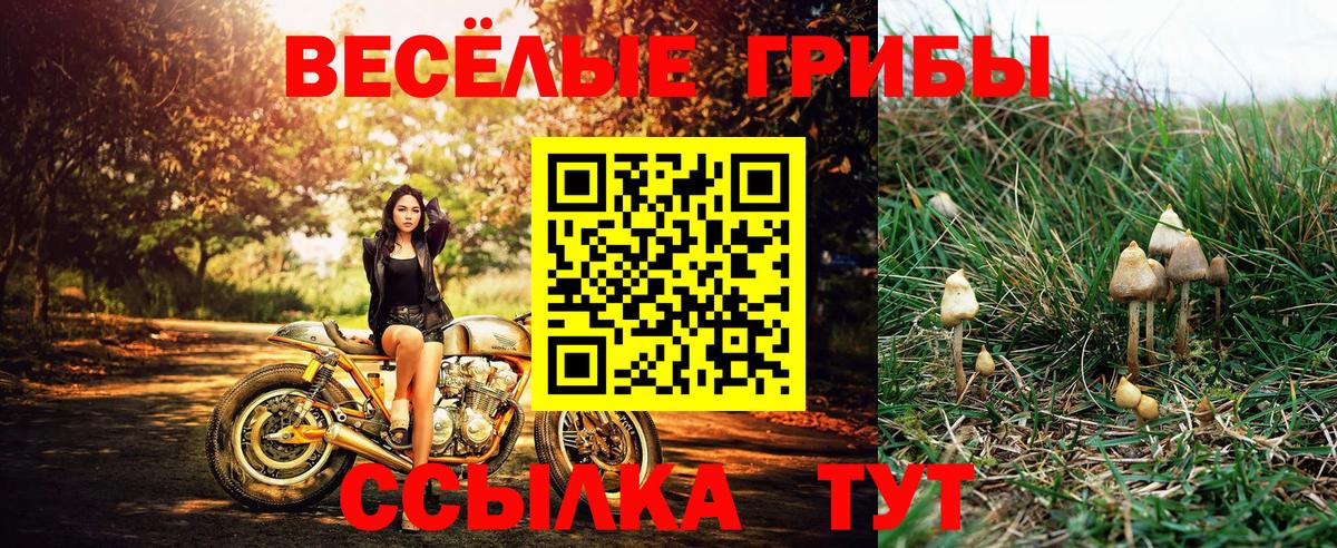 Галлюциногенные грибы Psilocybine cubensis  где можно купить   Шарыпово  Вход с VPN  Галлюциногенные грибы мухоморы 