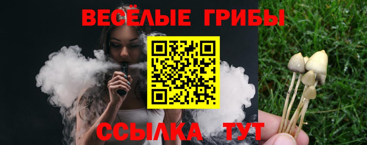 Псилоцибиновые грибы прущие грибы Шарыпово
